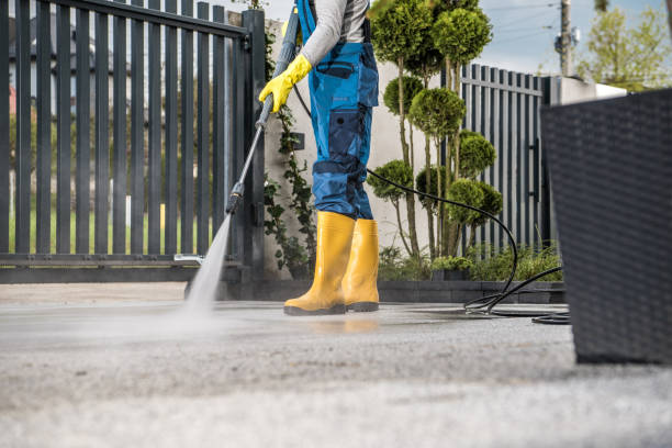 Best Patio and Deck Pressure Washing  in Chadds Ford, PA